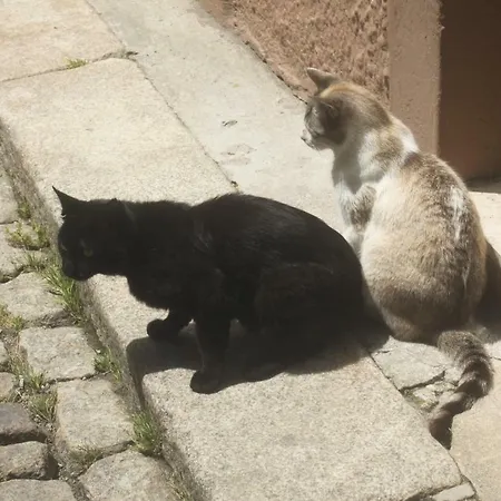 Sweet House In Center Apartment